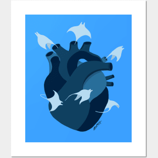 Stingray Heart Posters and Art